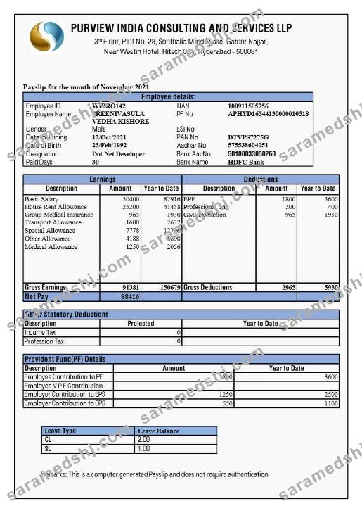 Purview India Consulting and Services payslip template in Word and PDF formats.pdf, 1